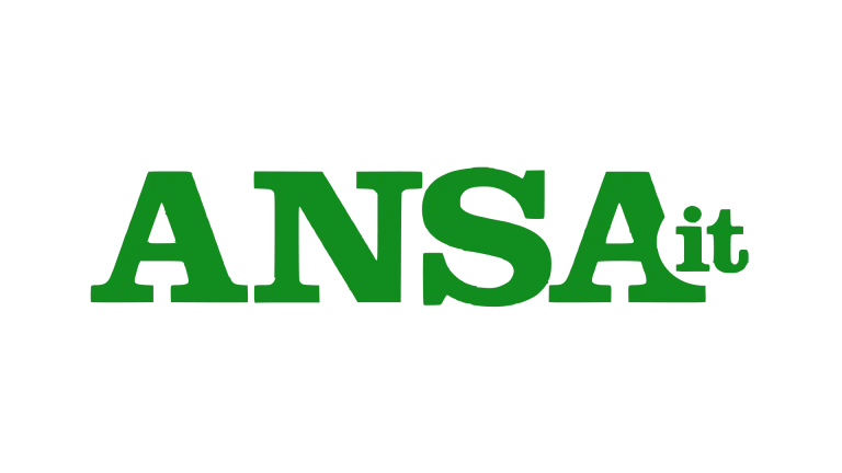 logo ansa.it